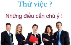 HỢP ĐỒNG THỬ VIỆC CÓ PHẢI THAM GIA BẢO HIỂM ?